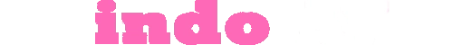 Indo AV Logo